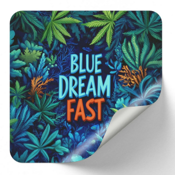Preview: Samen 3x Blue Dream Fast fem. Nordkraut